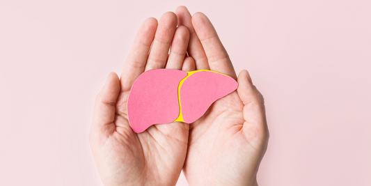 Hände mit Organ Leber in der Hand in rosa