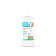 BAYROL Desalgin® JET Αξιόπιστο αλγοκτόνο συμπύκνωμα κατά όλων των τύπων φυκιών