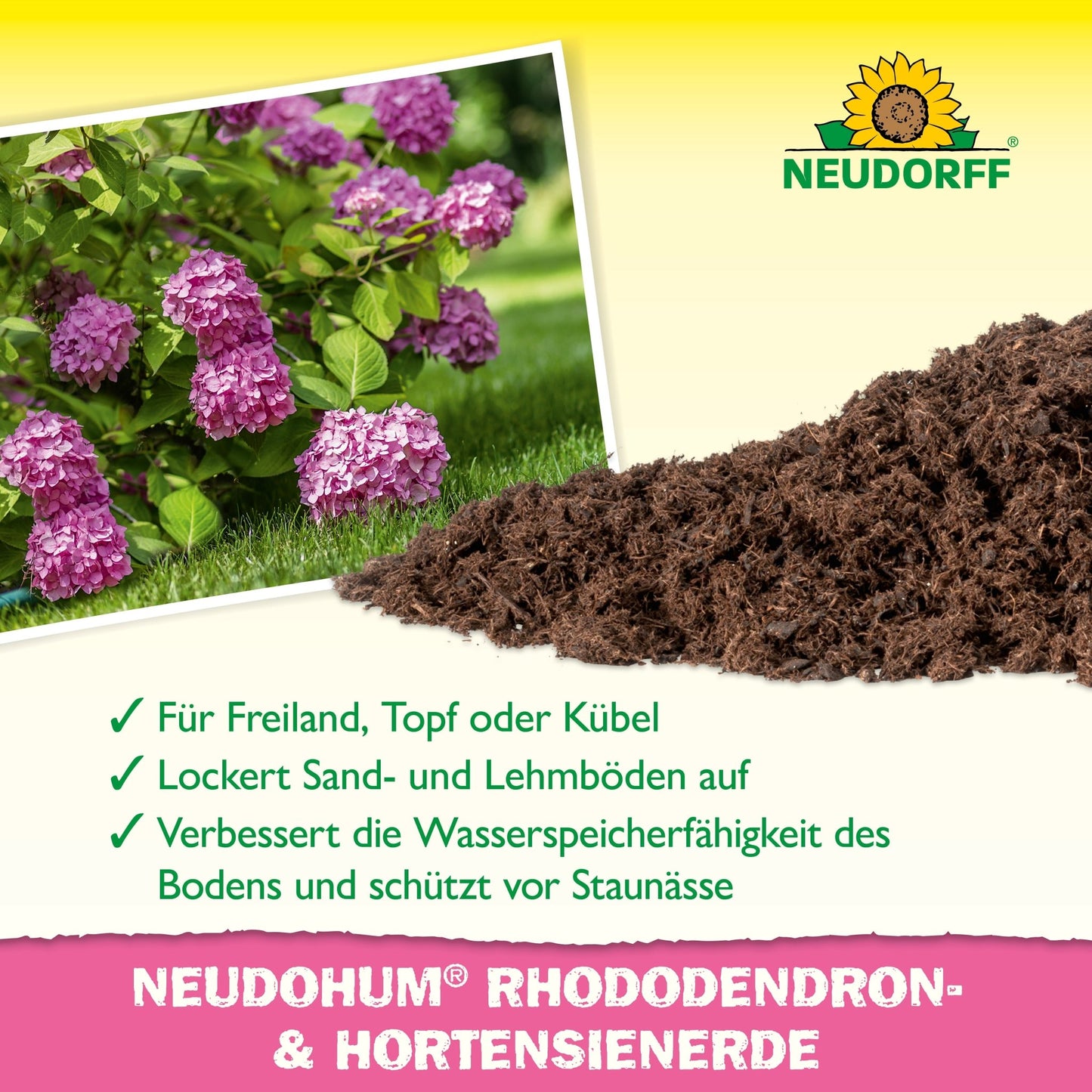 Ένας σωρός NeudoHum Rhododendron & Hortensien Erde από το Neudorff Shop βρίσκεται δίπλα σε ανθισμένες μοβ ορτανσίες. Το κείμενο τονίζει τα πλεονεκτήματα για φυτά εξωτερικού χώρου και γλάστρας: καλύτερη αποθήκευση νερού και αποφυγή υπερβολικής υγρασίας.