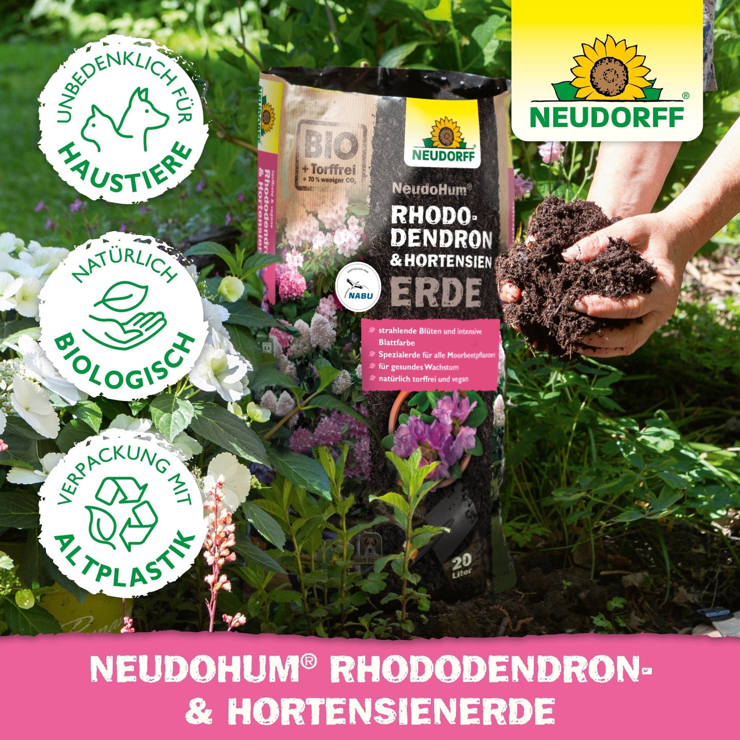 Ένα άτομο με πλούσιο NeudoHum Rhododendron & Hortensien Erde από το Neudorff Shop, ιδανικό για την προώθηση της υγιούς ανάπτυξης των ροδόδεντρων.