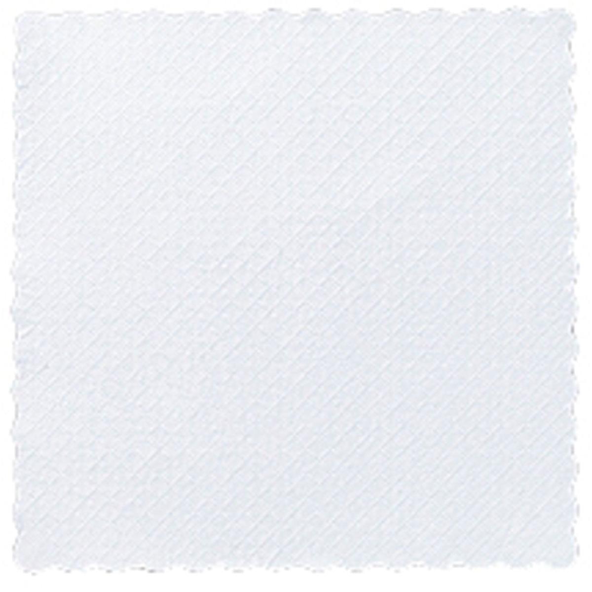 Das Duni GmbH Papier-Dessert Deckchen 17x17 cm, weiß, kommt in einer Packung mit 4000 Stück und besticht durch sein elegantes Design - ideal für die stilvoll gedeckte Gastronomie.