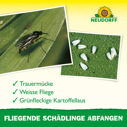 Nahaufnahme einer schwarzen Mücke und winziger weißer Fliegen auf einem Blatt, die helfen, Schädlinge wie Trauermücke, Weiße Fliege und Grünfleckige Kartoffellaus zu identifizieren. Oben das Logo des Neudorff Shops mit dem Hinweis auf den Gelb-Aufkleber für Zimmerpflanzen.