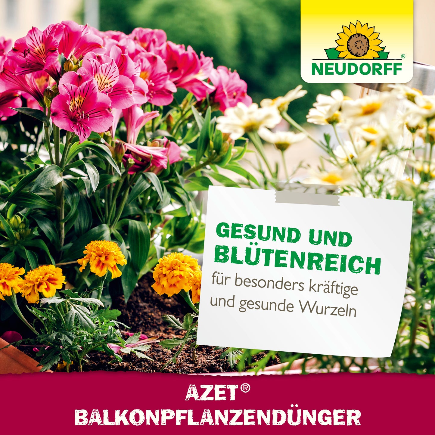 Abgebildet ist ein Blumenkasten mit rosa und gelben Sommerblumen. Ein Schild wirbt für Neudorff Shop Azet BalkonpflanzenDünger flüssig für gesunde Blüten in Balkonkästen. Oben rechts ist das Neudorff-Logo zu sehen.