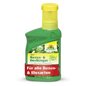 Eine grüne Plastikflasche Azet Buxus- & IlexDünger flüssig von Neudorff Shop, 100% organischer Pflanzendünger für Buchsbaum, Ilex und andere immergrüne Pflanzen; hergestellt aus 90% recyceltem Material und mit einer gelben Kappe versehen.