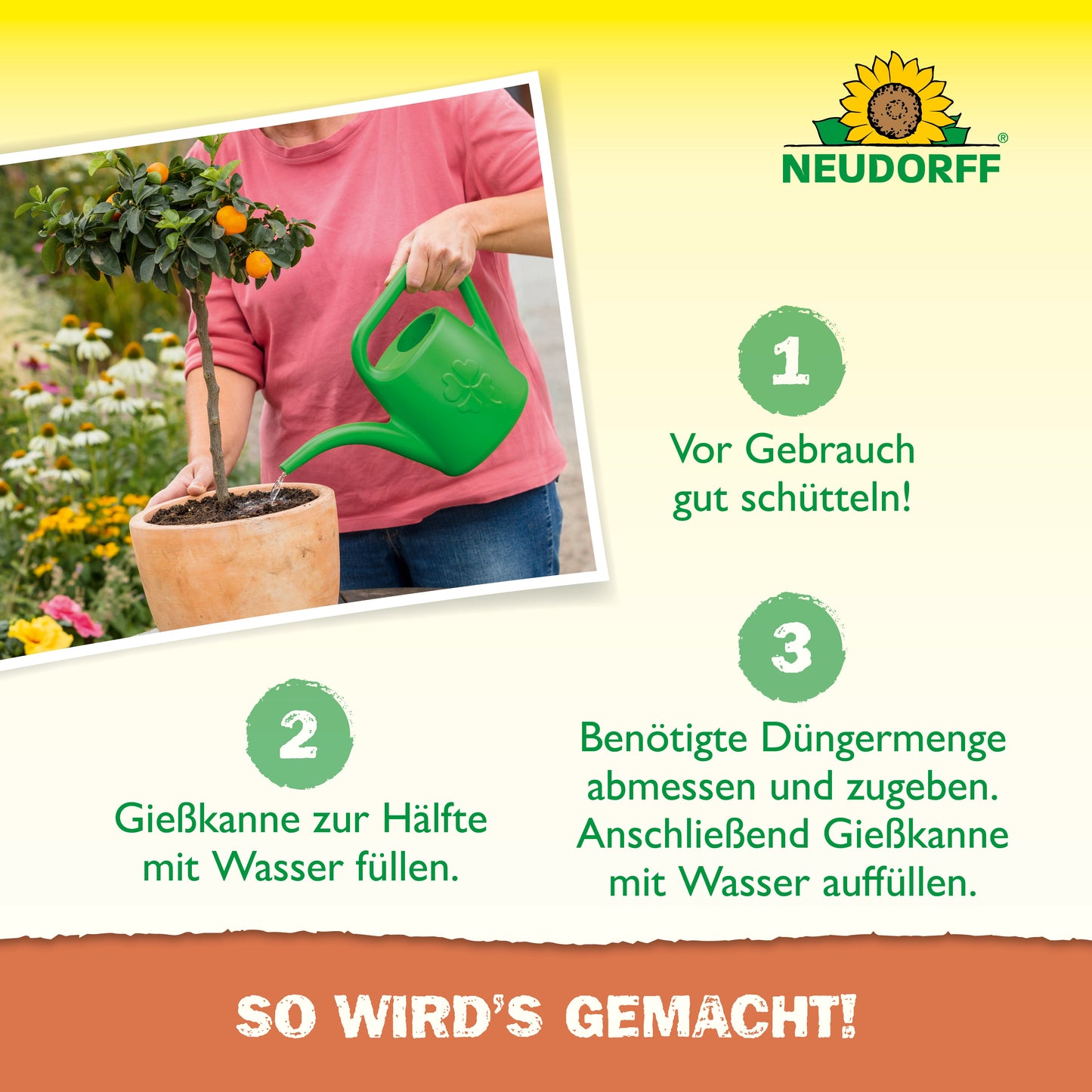 Eine Person gießt einen eingetopften Orangenbaum mit einer grünen Gießkanne. Die deutsche Anleitung zeigt die Anwendung von Azet Zitrus- & MediterranpflanzenDünger flüssig aus dem Neudorff Shop in drei Schritten, mit dem Neudorff-Logo oben rechts.