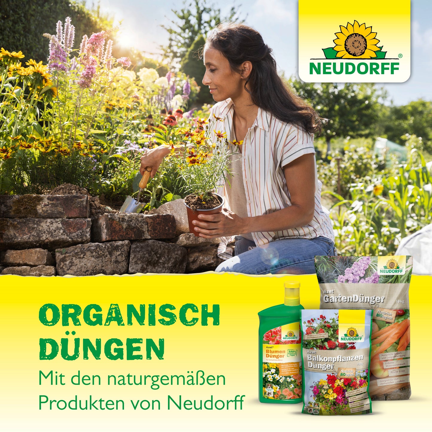 Eine Frau pflanzt mediterrane Pflanzen an einer Steinmauer, mit Azet Zitrus- & MediterranpflanzenDünger flüssig Flaschen von Neudorff Shop neben ihr. Der deutsche Text wirbt für organische Düngung mit Neudorff-Produkten.