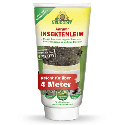 Η κόλλα εντόμων Aurum από το Neudorff Shop προστατεύει αποτελεσματικά τα οπωροφόρα δέντρα από μυρμήγκια και παράσιτα - χωρίς εντομοκτόνα, δρα σε απόσταση 4 μέτρων. Η συσκευασία δείχνει ένα δέντρο τυλιγμένο με κόλλα.