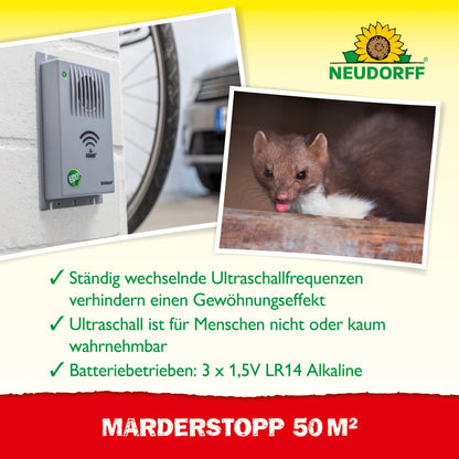 Ein graues MarderStopp 50m2 Ultraschallgerät von Neudorff Shop ist an der Wand montiert. In der Nähe sitzt ein brauner Marder auf Holz. Der Text hebt die Eigenschaften der Ultraschall-Technologie hervor, das Neudorff-Logo ist oben rechts zu sehen.