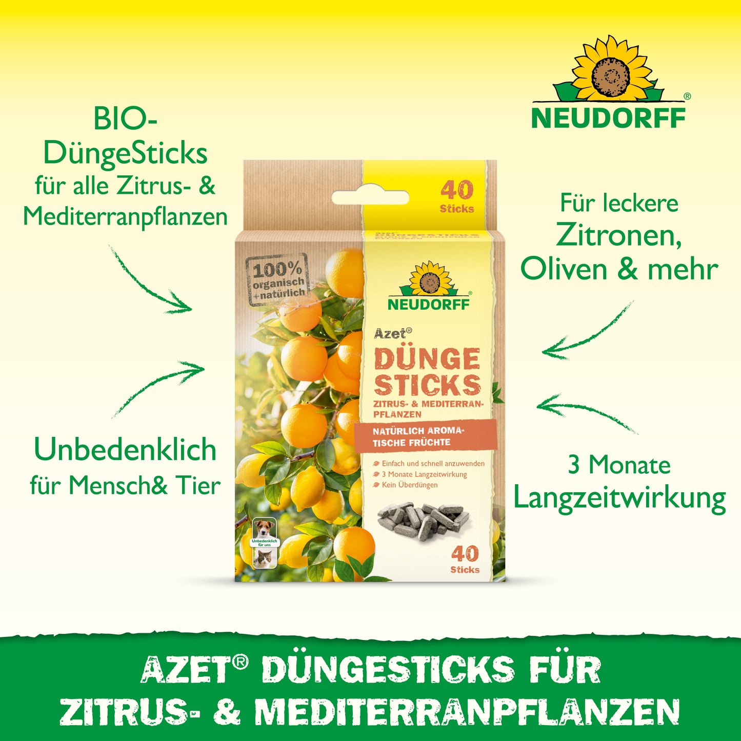 Gezeigt wird eine Packung Neudorff Shop Azet Düngesticks für Zitrus- & Mediterranpflanzen. Die Bio-Formel ist sicher für Menschen und Haustiere, nährt Zitruspflanzen für 3 Monate und ist perfekt für Balkone oder Terrassen mit Zitronen oder Oliven.