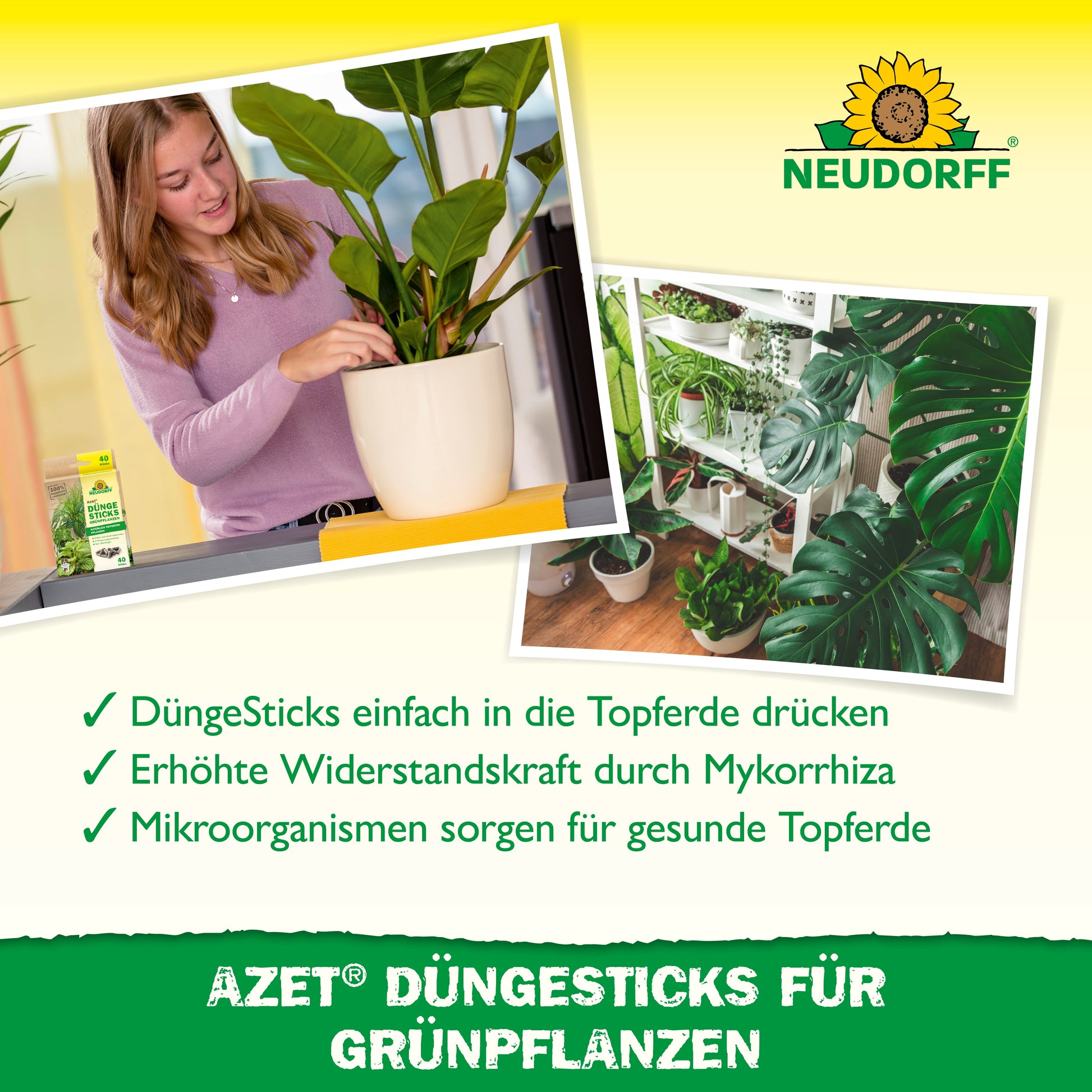 Eine Frau drückt einen Azet Düngestick für Grünpflanzen aus dem Neudorff Shop in die Pflanzenerde. Ein weiteres Foto zeigt gesundes grünes Laub, während Icons das Nährstoffdepot und die Vorteile dieser Düngesticks für Grünpflanzen hervorheben.