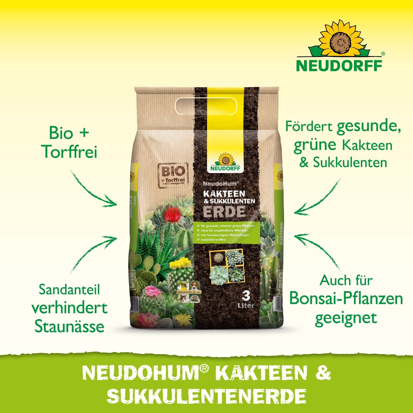 Ένας μπεζ σάκος 3 λίτρων Neudorff Shop NeudoHum Kakteen & SukkulentenErde στέκεται όρθιος. Το χώμα χωρίς τύρφη αποτρέπει την υπερβολική υγρασία και είναι ιδανικό για υγιή ανάπτυξη κάκτων, παχύφυτων και μπονσάι φυτών.
