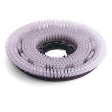 Numatic νάιλον βούρτσα απολέπισης