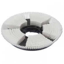 Diversey στεγνή βούρτσα σαμπουάν, Ø 43 εκ., για TASKI ergodisc 165: Στρογγυλή μαύρη πλαστική βούρτσα με ακτινωτά τοποθετημένες λευκές τρίχες και κεντρικό άνοιγμα. Ιδανική για καθαρισμό χαλιών. Η συσκευασία περιέχει 1 τεμάχιο.