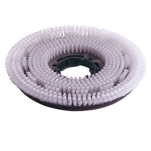 Numatic 2 x Nylon Scrub Brush 220mm (NUC244NX/TTB420) | Συσκευασία (1 τεμάχιο)