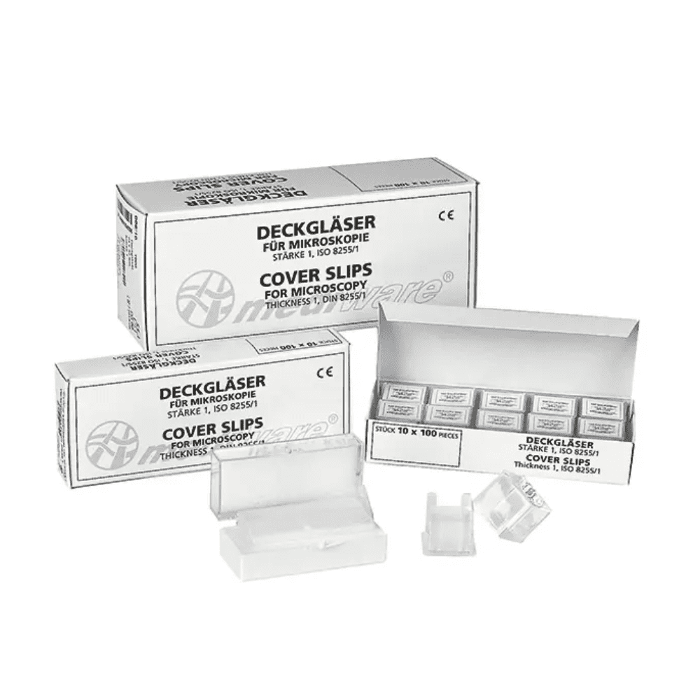 Καλυπτρίδες