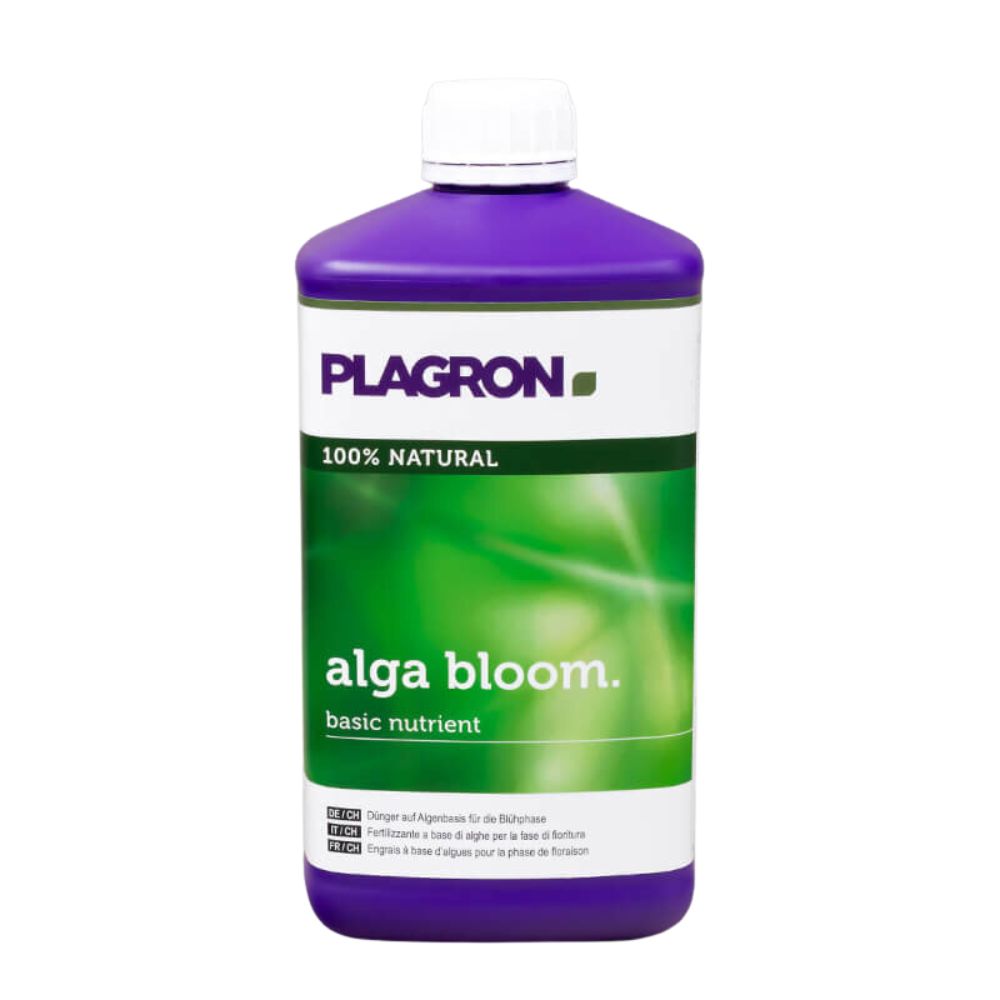 Το Plagron Alga Bloom Φυσικό Λίπασμα Φυτών από την Bertels B.V. παραδίδεται σε ένα μοβ μπουκάλι με πράσινη-λευκή ετικέτα με κείμενο και γραφικό. Με την ετικέτα «100% φυσικό», είναι ένα ιδανικό βασικό μείγμα για το λίπασμα της φάσης ανθοφορίας.