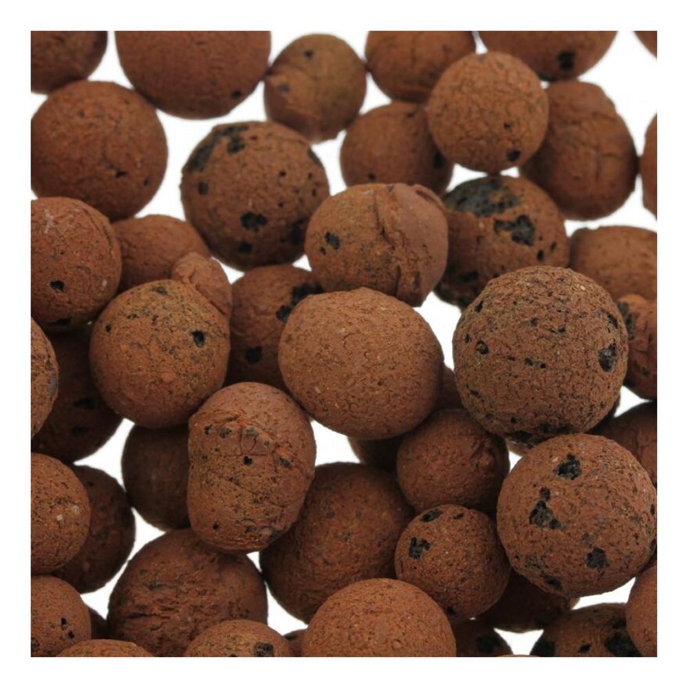 Οι Plagron Europebbles από την Bertels B.V. είναι καφέ, στρογγυλές πήλινες σφαίρες με πορώδη επιφάνεια, ιδανικές για υδροπονικά συστήματα. Έχουν μικρές σκούρες κηλίδες, ποικίλλουν σε μέγεθος και είναι πυκνά συσκευασμένες, δίνοντάς τους μια δομημένη εμφάνιση.