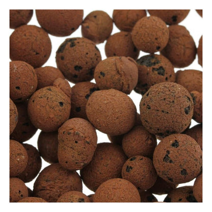 Οι Plagron Europebbles από την Bertels B.V. είναι καφέ, στρογγυλές πήλινες σφαίρες με πορώδη επιφάνεια, ιδανικές για υδροπονικά συστήματα. Έχουν μικρές σκούρες κηλίδες, ποικίλλουν σε μέγεθος και είναι πυκνά συσκευασμένες, δίνοντάς τους μια δομημένη εμφάνιση.