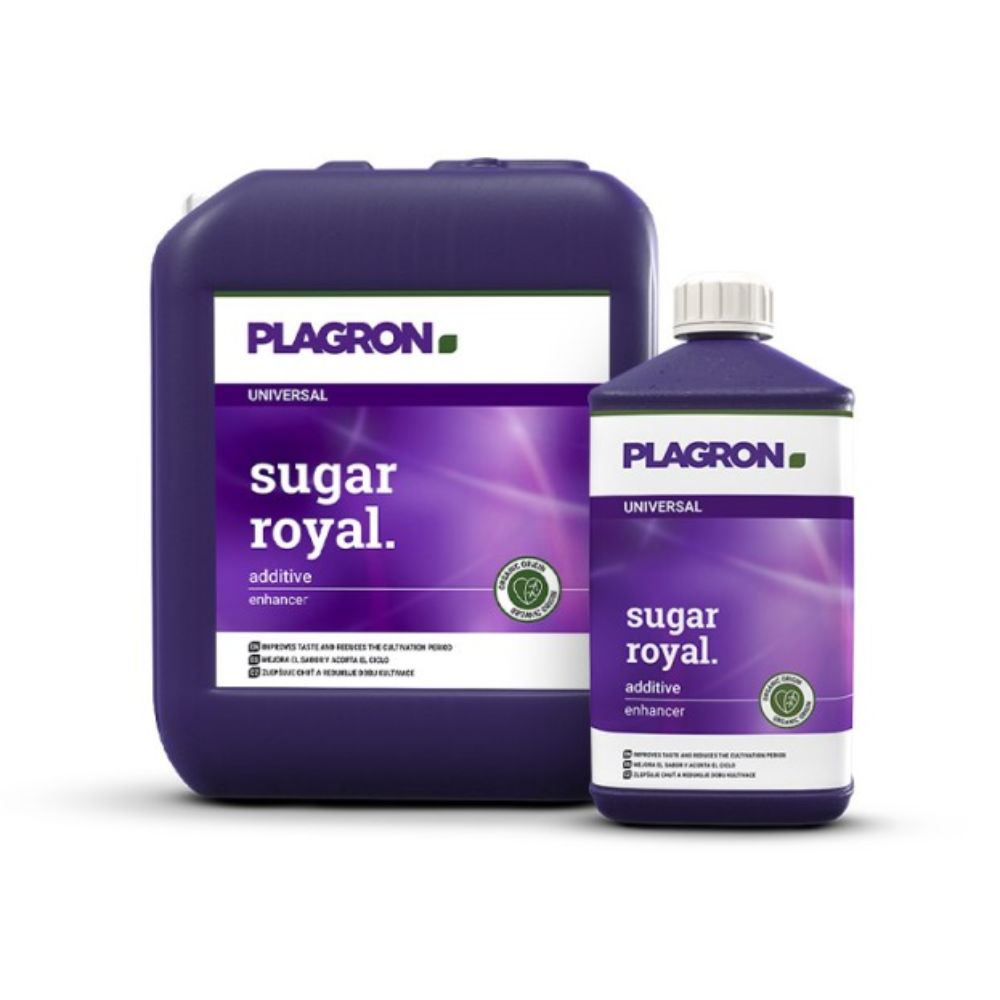 Απεικονίζονται δύο δοχεία Plagron Sugar Royal - Premium Ενισχυτής Ανθοφορίας από την Bertels B.V.: ένα μεγαλύτερο τετράγωνο και ένα μικρότερο κυλινδρικό, και τα δύο με έντονες μοβ ετικέτες, λευκό κείμενο και ένα πράσινο λογότυπο που εγγυάται ποιότητα εμπλουτισμένη με απαραίτητα αμινοξέα.